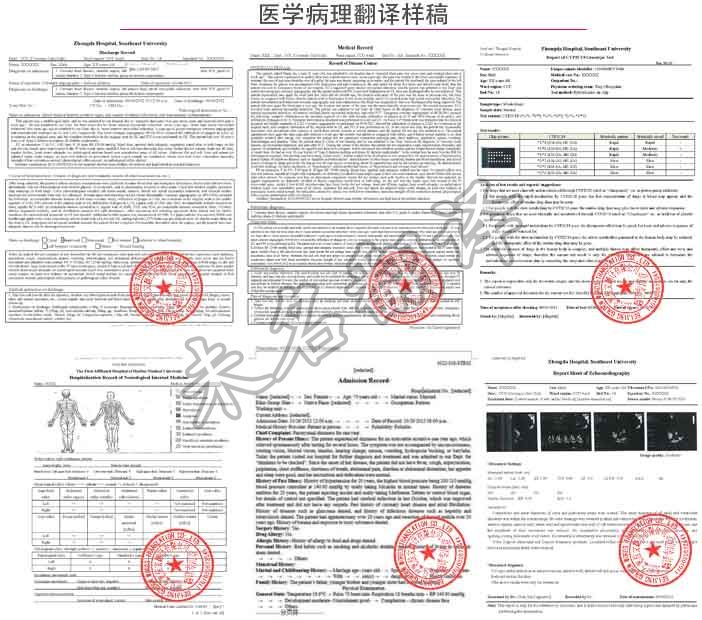 病历翻译案例.jpg