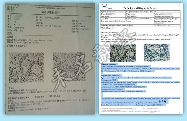 体检报告单翻译 123.jpg