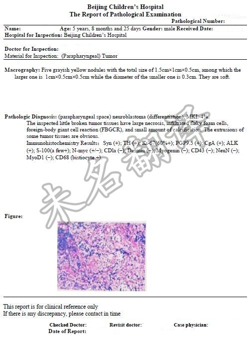 病理报告单.jpg