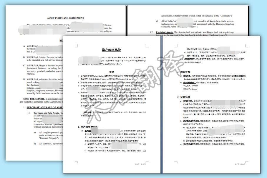 出国移民材料文件翻译模板截图