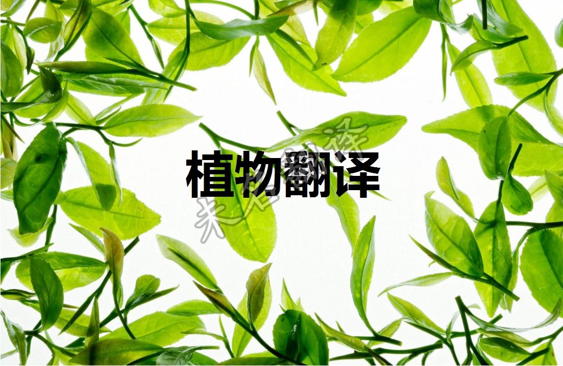 植物的翻译,学术资料翻译