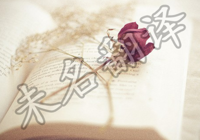 国外文学翻译有哪些技巧