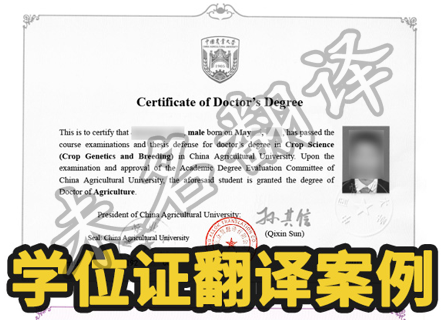 学位证书翻译实用须知.png