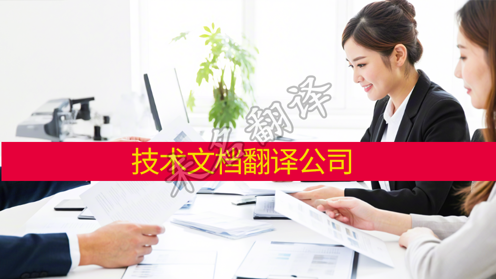 技术文档翻译