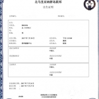 国外出生证明翻译哪家好