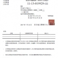 证件翻译驾照翻译模板