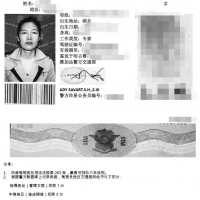 印度驾照翻译案例