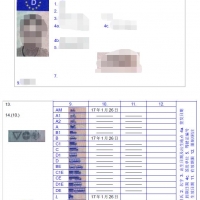德国驾照翻译案例