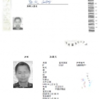 加拿大护照翻译案例