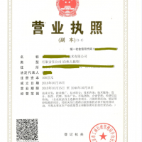 河北营业执照翻译模板