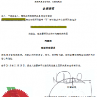 南非单身证明翻译较新模板