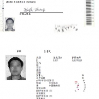 较新加拿大护照翻译案例