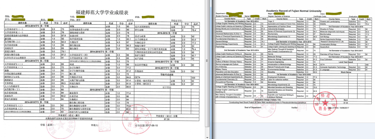 为什么要进行国内成绩单翻译
