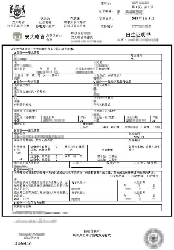怎样选择专业证件翻译公司
