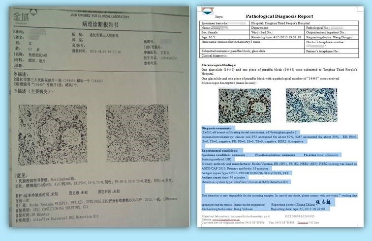专业体检健康证明翻译