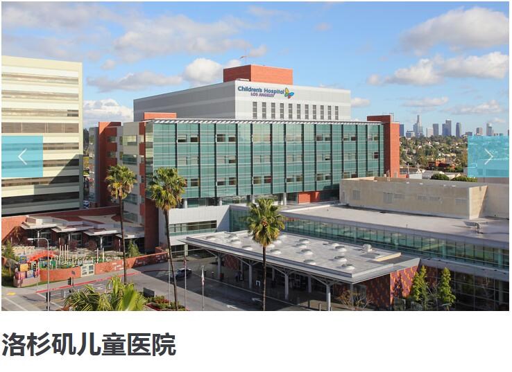 美国就医费用明细表文件材料翻译