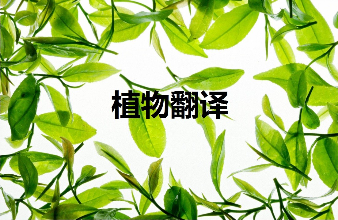 植物的翻译