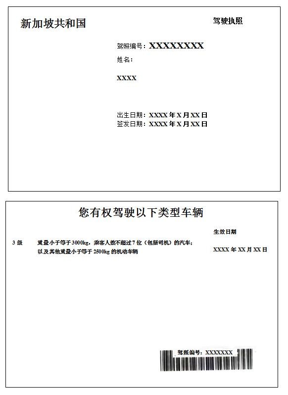 新加坡驾驶证翻译