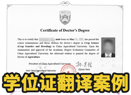 学位证书翻译实用须知